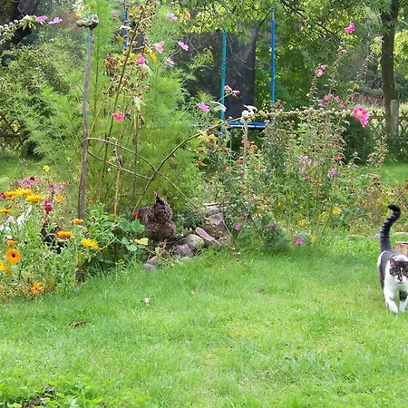 Kaeuzchenkuhle * Sassnitz